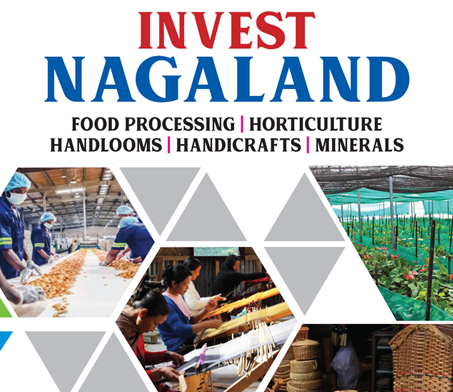 Nagaland